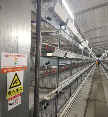 1.25*800背靠背笼型（四层）