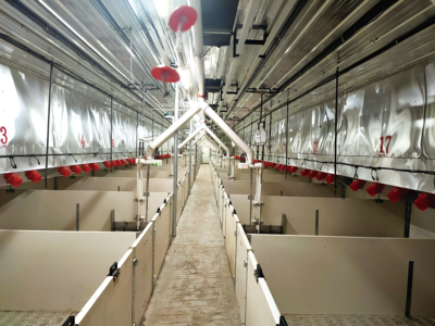 Weaning stall&Finishing stall