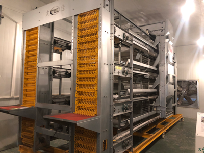 1.2 * 1.2 Stacked laying hen equipment(4 tier 2 door)